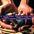 craft weekly: The Amazing Benefits of Psychedelic Mushrooms